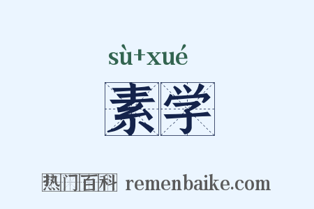 素学是什么意思的图片